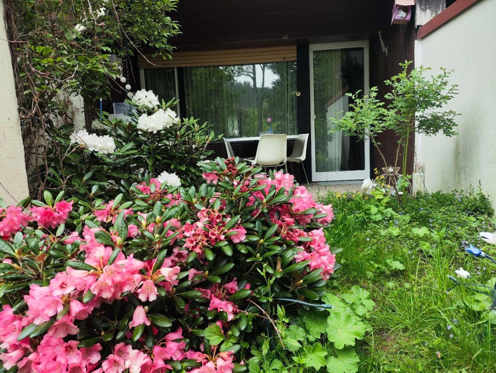 Ferienwohnung Schoene Wohnung 2D-Gebaeude Mit Mini-Garten Schönwalde エクステリア 写真
